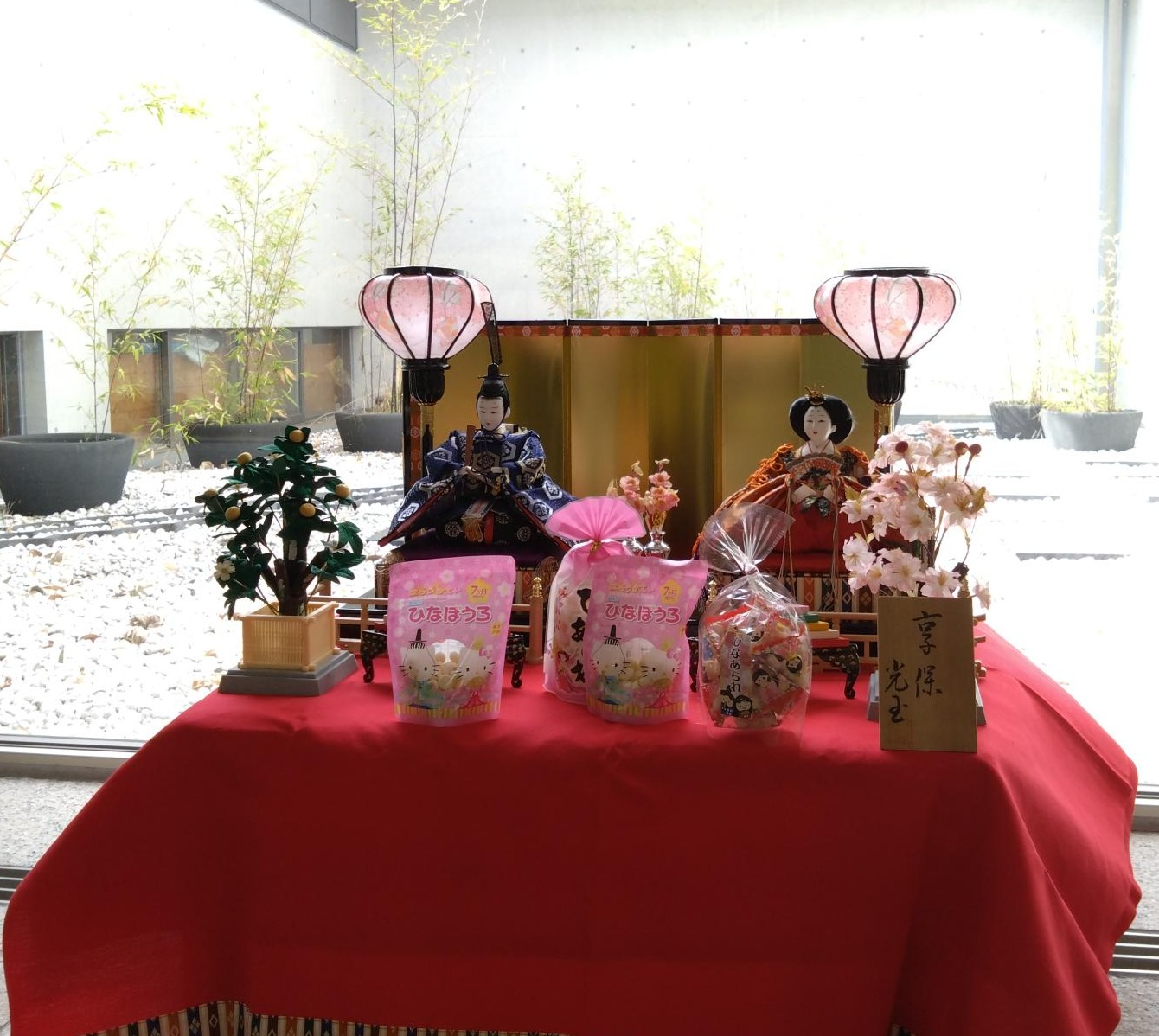 写真2（1340×1198）